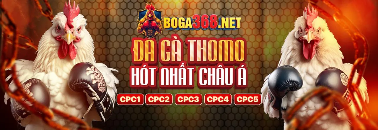 Đá gà FC888 chính thức
